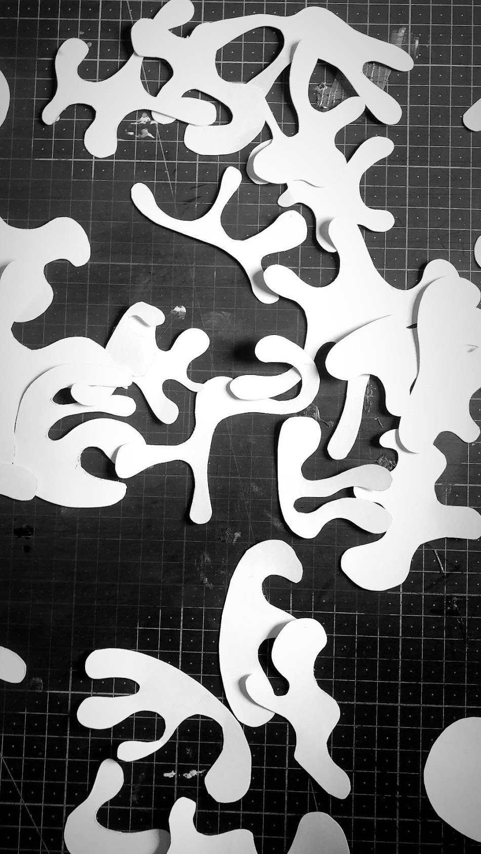 Paper cutout composition — organic forms on black